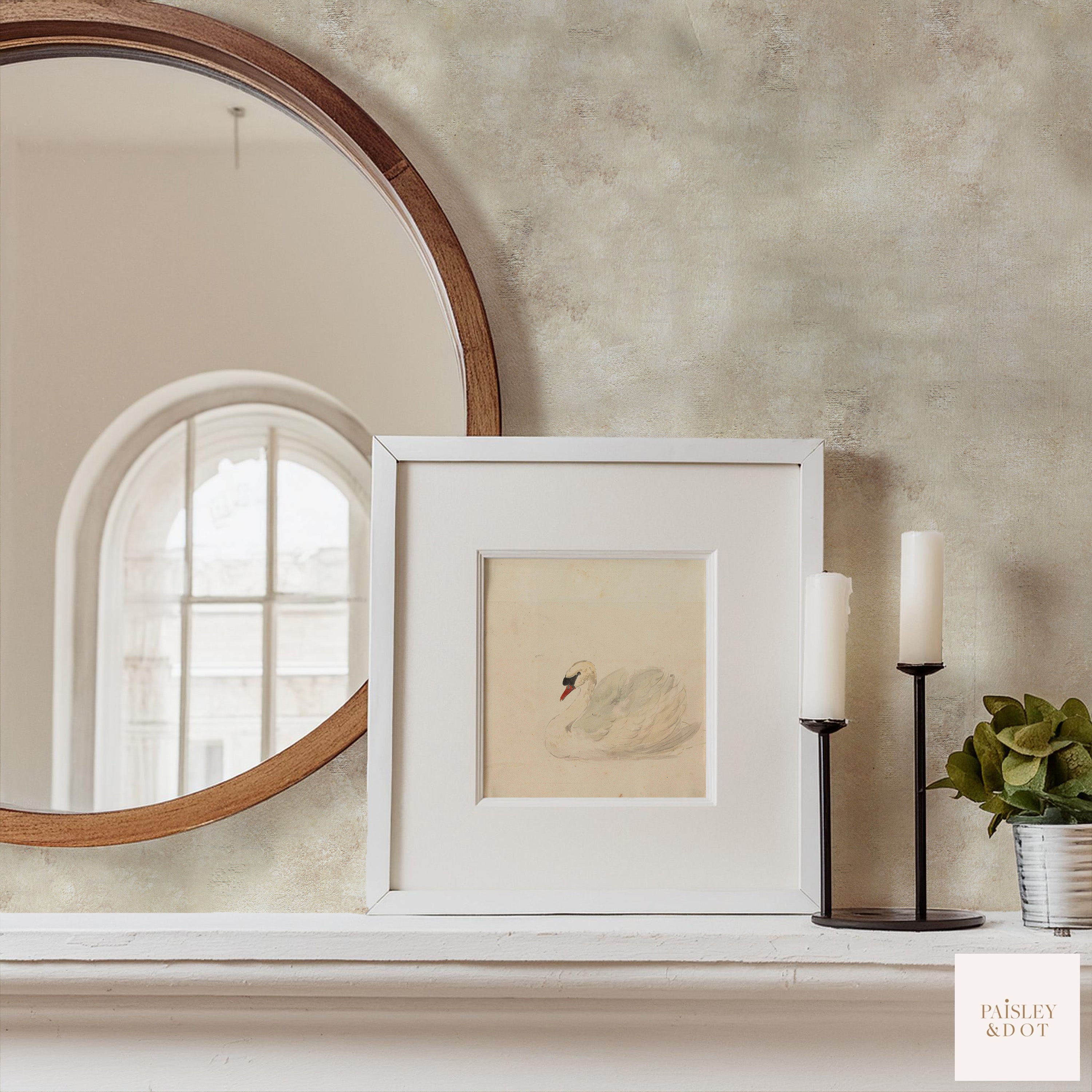 Rustica Limewash Wallpaper _Natural