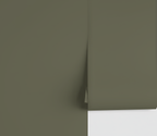 In the Forest_Solid Color Wallpaper